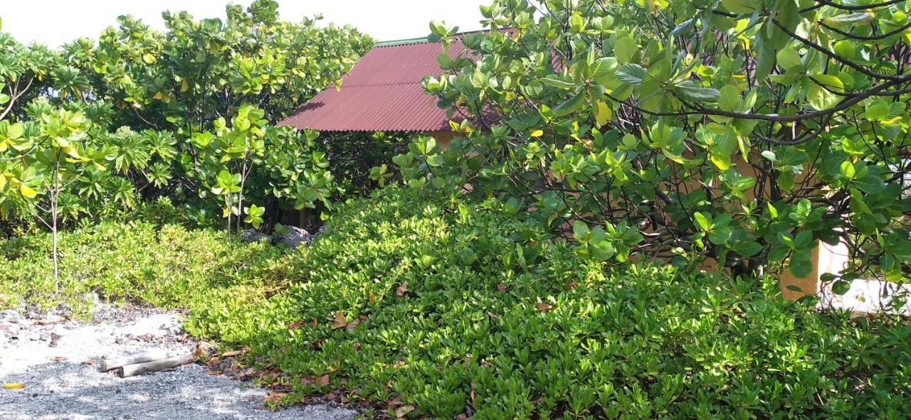 Fakarava - Teariki Lodge 1 Экстерьер фото